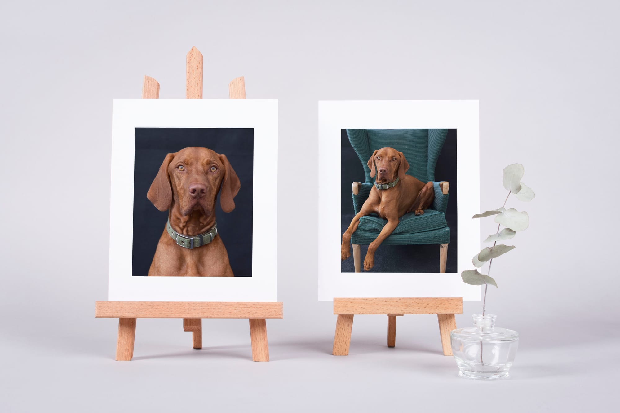 THE HIGH-QUALITY MATTED PRINTS