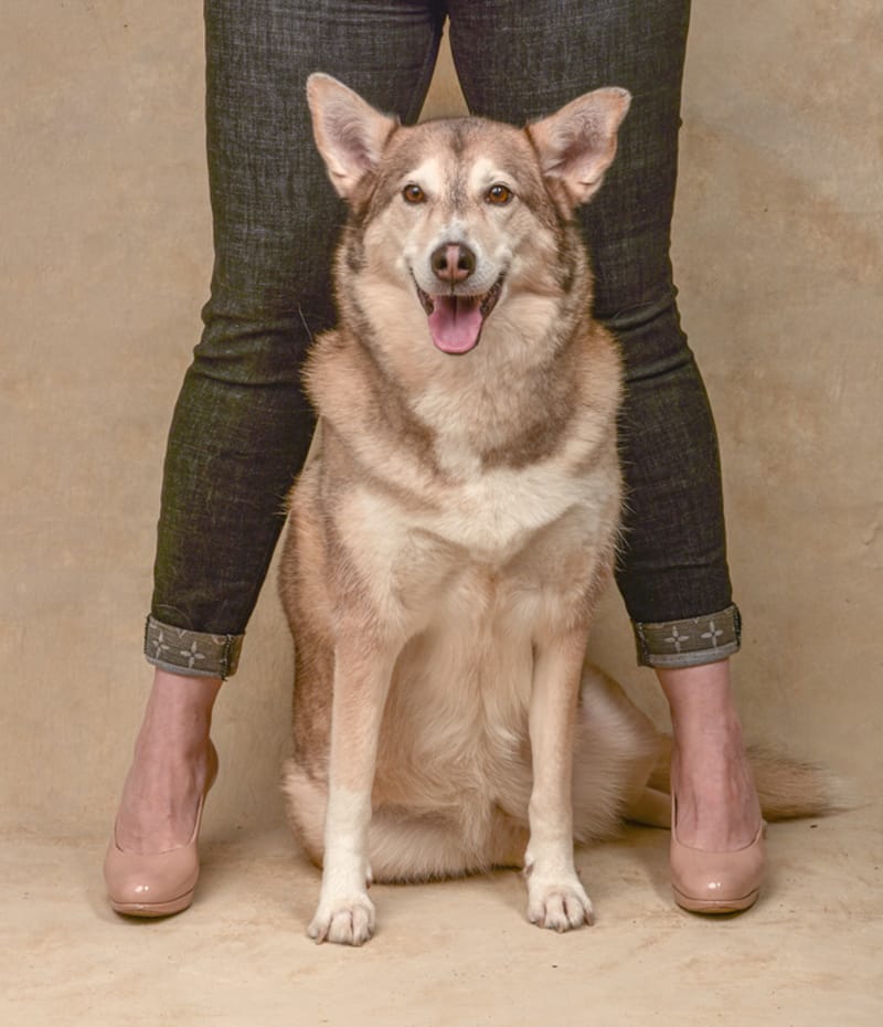 STEP 2 - PHOTO SHOOT