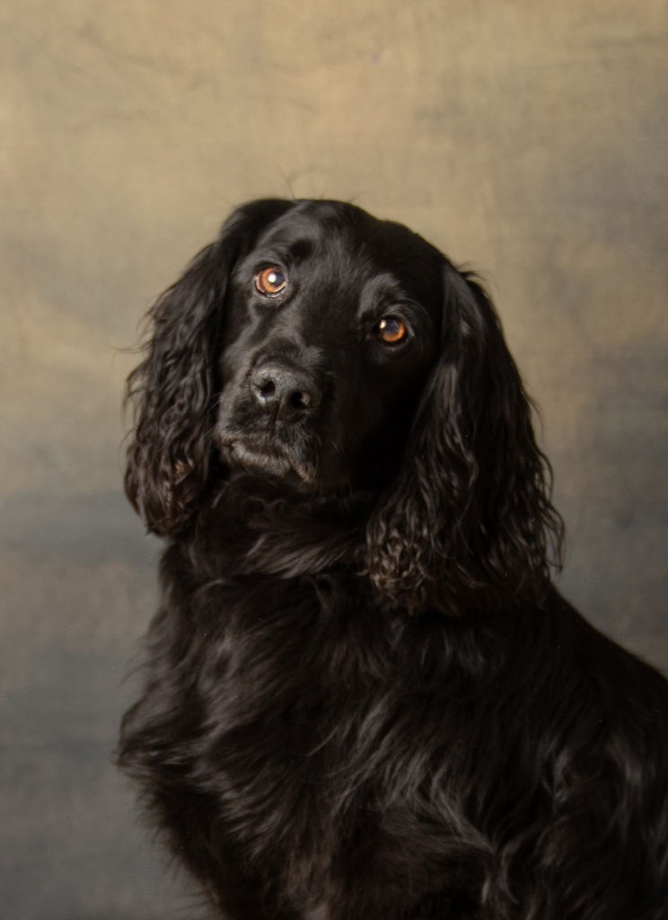 SPECIAL FRIENDS DESERVE SPECIAL MEMORIES