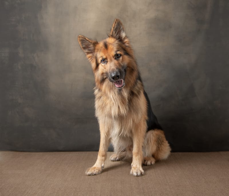 SPECIAL FRIENDS DESERVE SPECIAL MEMORIES