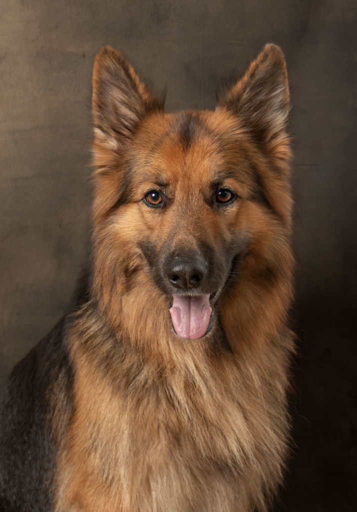 SPECIAL FRIENDS DESERVE SPECIAL MEMORIES