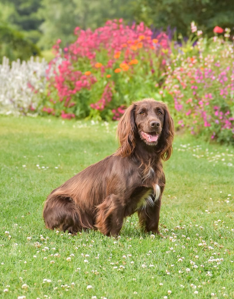 SPECIAL FRIENDS DESERVE SPECIAL MEMORIES