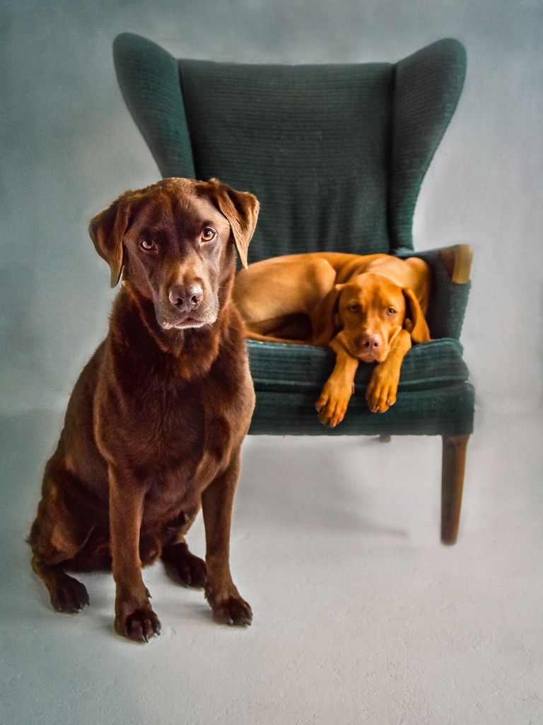 SPECIAL FRIENDS DESERVE SPECIAL MEMORIES