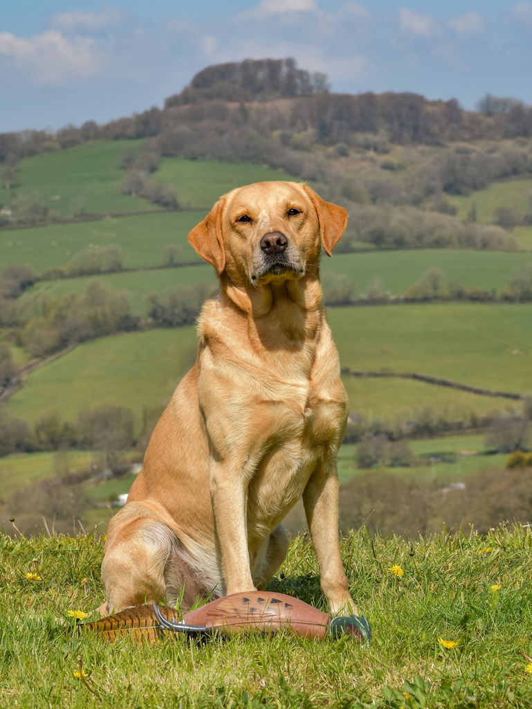 SPECIAL FRIENDS DESERVE SPECIAL MEMORIES