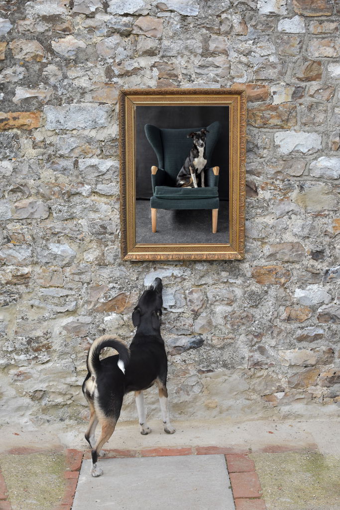 SPECIAL FRIENDS DESERVE SPECIAL MEMORIES