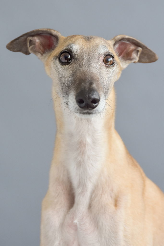 SPECIAL FRIENDS DESERVE SPECIAL MEMORIES