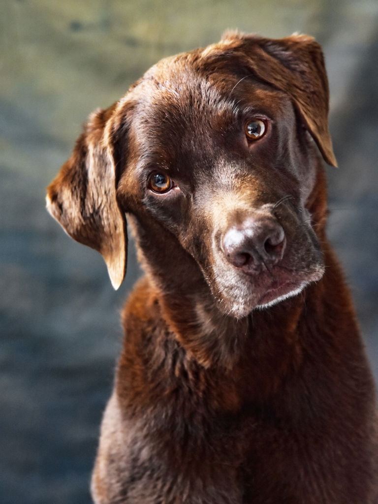 SPECIAL FRIENDS DESERVE SPECIAL MEMORIES