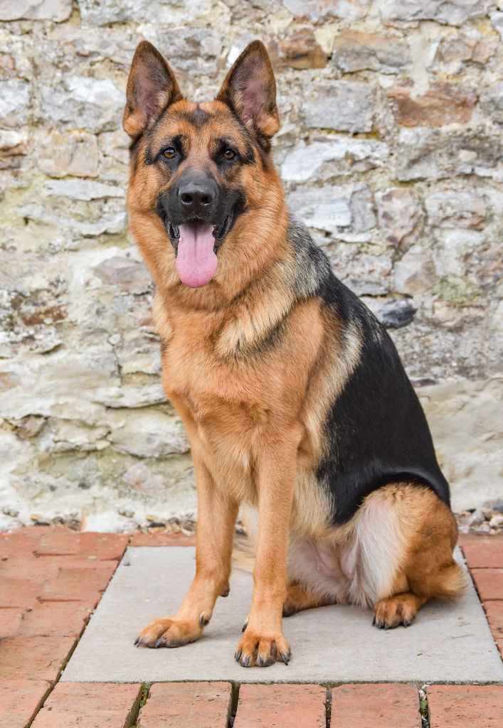 SPECIAL FRIENDS DESERVE SPECIAL MEMORIES