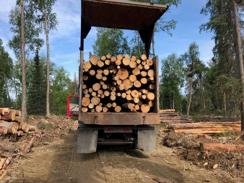 Firewood and Sawlog Sales