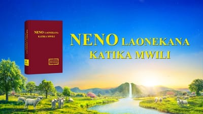 Kazi ya Roho Mtakatifu na Kazi ya Shetani