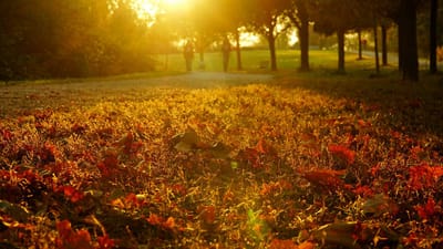 Pananampalataya at Buhay | Ang Mapait na Bunga ng Kayabangan