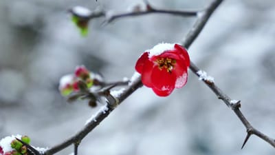 Mga Patotoo tungkol sa Paghatol sa Harapan ng Hukuman ni Cristo | Ang Diwa ng Personal na Paghihiganti