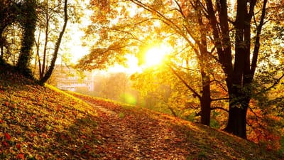 Pananampalataya at Buhay | Ang Karanasan sa Pagsasagawa ng Katotohanan