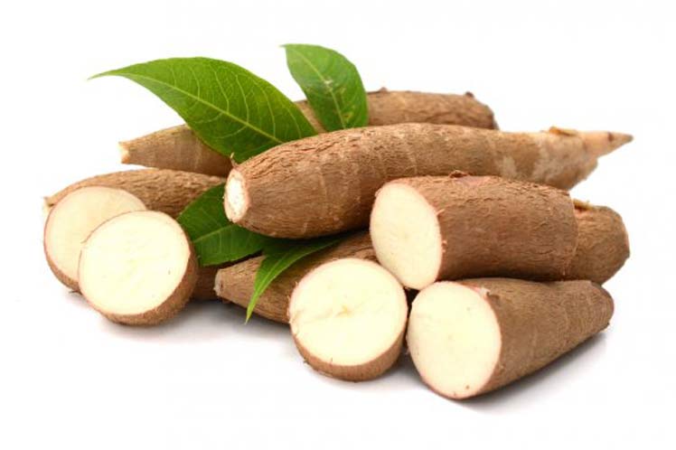 YUCA