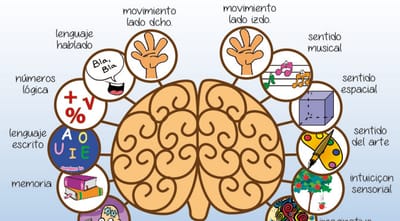 FUNCIONES COGNITIVAS