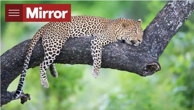 英国《镜报》：阿尔巴尼亚是英国人2024年最期待的10大旅游目的地之一