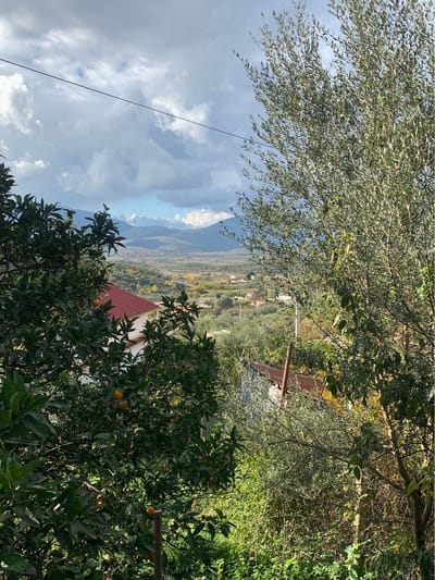 萨兰德 农村院落出售 IB20240114001