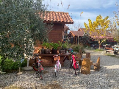 参观布莱里纳农场