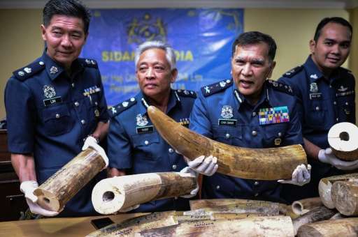 入境马来西亚时务必注意检查入境章