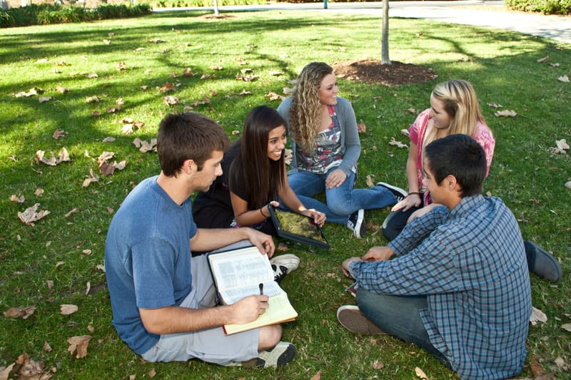 新西兰入境新规定（针对受抚养人的高等教育问题）2021 年 12 月 15 日