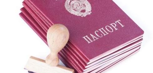 新西兰五年多次签证：交一个人签证费，一家人拿五年签证！