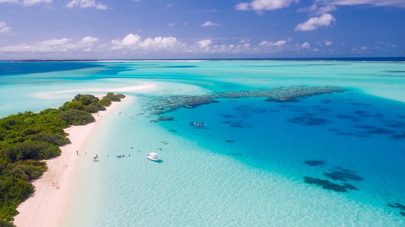 新西兰，世界上最纯净的国家，宜居养老的天堂 !