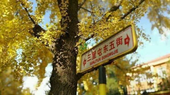 出国必备！最全大使馆“使用”攻略