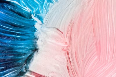 topresidentialpainters image