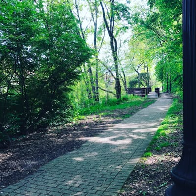 نظرة عامة للمدينة image