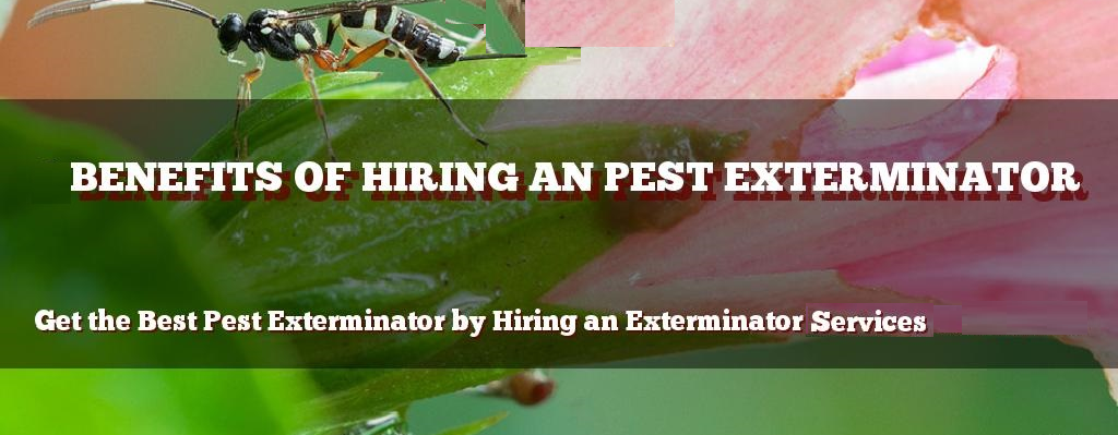 BENEFITS TO HIRING AN EXTERMINATOR