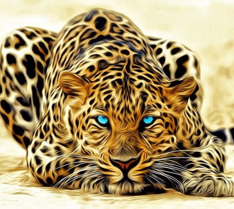 leopard-0