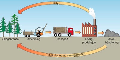 Bioenergi