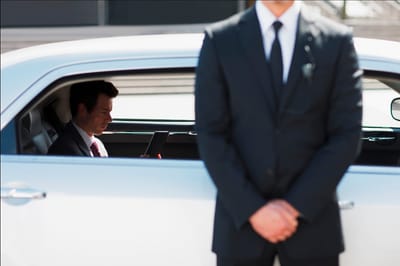 VIP PROTECTION image