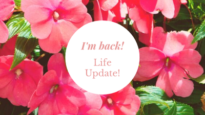 Heyy! I'm Back! Life Update!