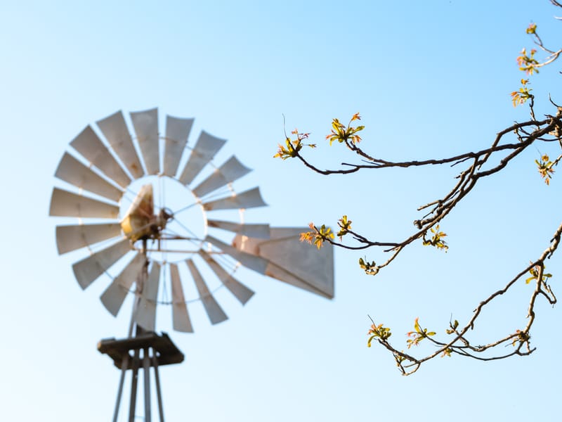 Windmills & Water