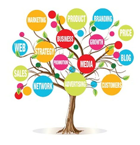 Árboles. Definición y clasificación.