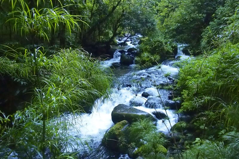 River Trail