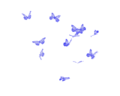 THE AUTHOR image