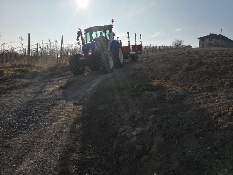 LAVORI CON MACCHINARI IN VIGNA