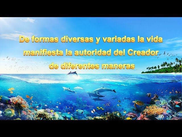 Las palabras del Espíritu Santo | Dios mismo, el único (I) La autoridad de Dios (I) Parte 2