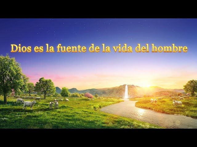 Palabra de Dios | Dios es la fuente de la vida del hombre