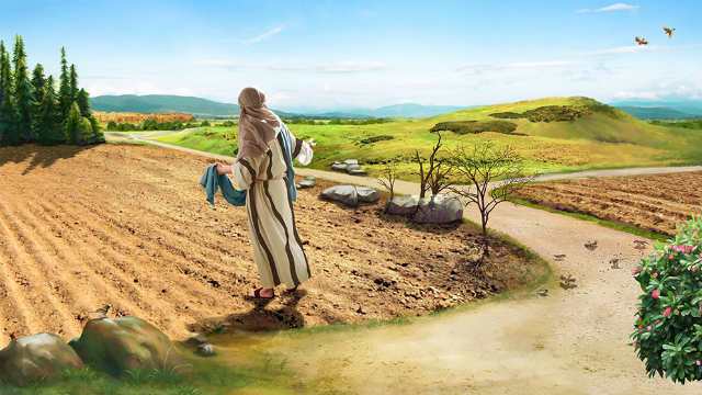 Las parábolas del Señor Jesús