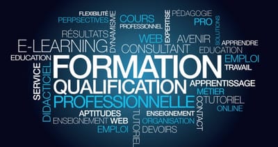 l'enseignement et la didactique