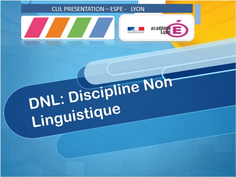 Formation disciplines non linguistiques