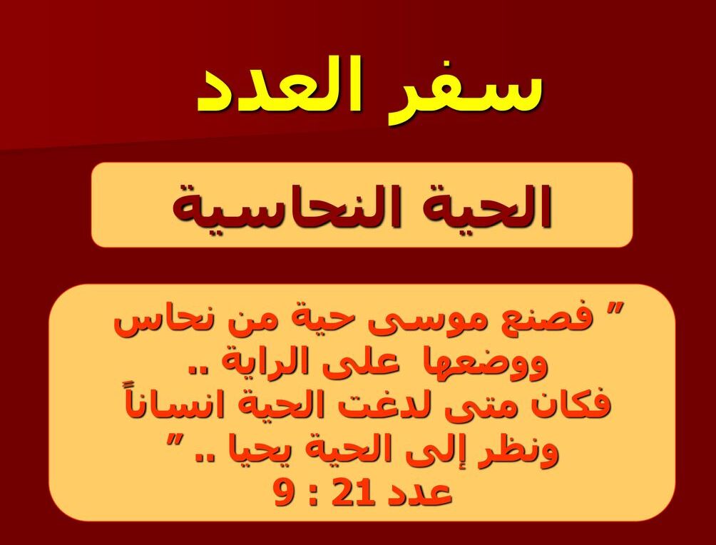 سفر العدد  - الفصل / الأصحاح الاول (١) - (الكتاب المقدس - العهد القديم)