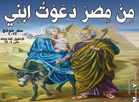 سفر هوشع - الفصل / الأصحاح الثامن (٨) - (الكتاب المقدس - العهد القديم)