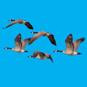 لماذا تجسد الله كأنسان شبهنا - اقرأ و اسمع هذه القصة البسيطة لتفهم