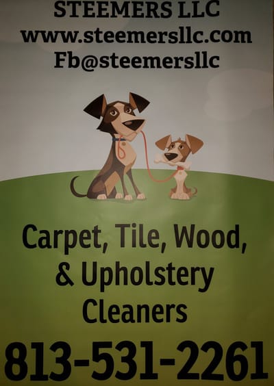 STEEMERS LLC 813-531-2261