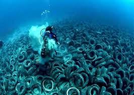 contaminacion y afectacion