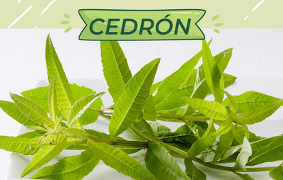 CEDRÓN